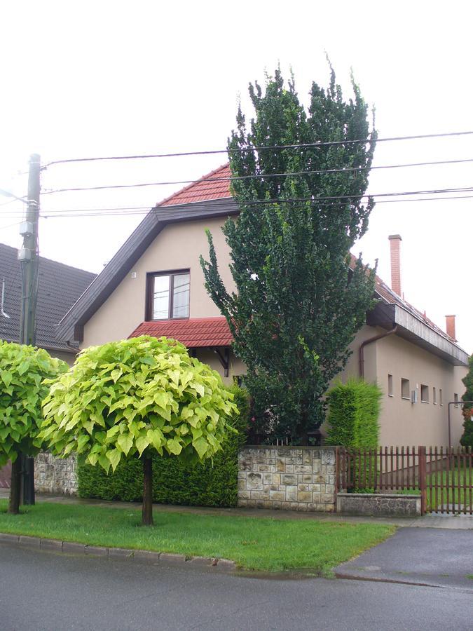 Arnika Vendeghaz Apartment Hajduszoboszlo Bagian luar foto